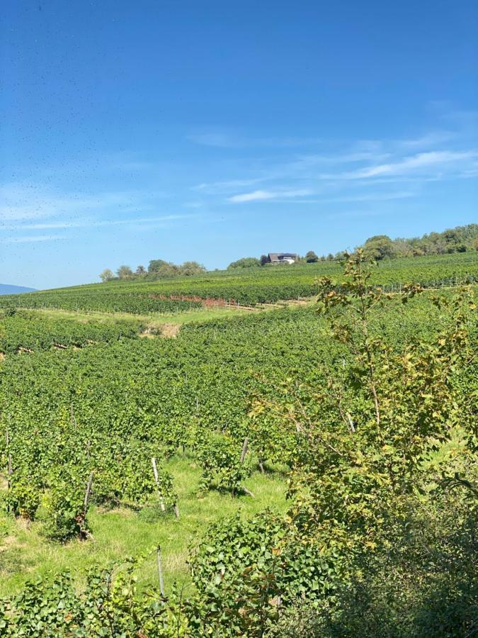 Haeuschen Am Plenzer Villa Ingelheim am Rhein Eksteriør billede