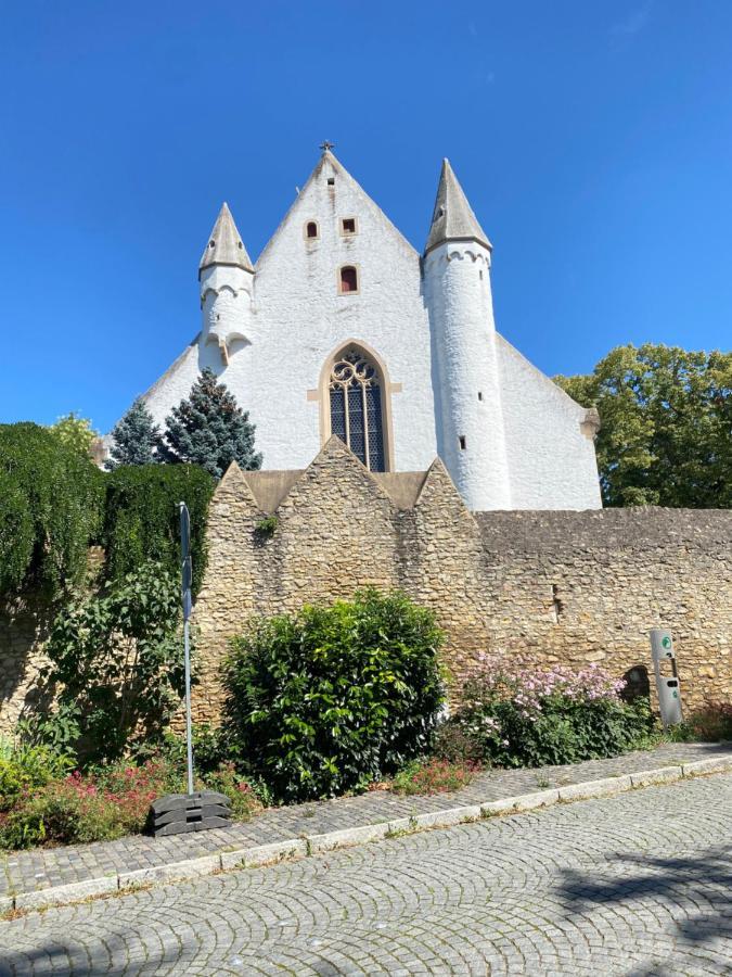 Haeuschen Am Plenzer Villa Ingelheim am Rhein Eksteriør billede