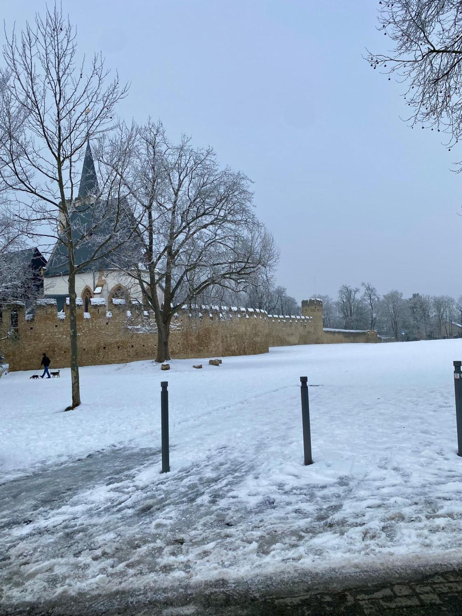 Haeuschen Am Plenzer Villa Ingelheim am Rhein Eksteriør billede
